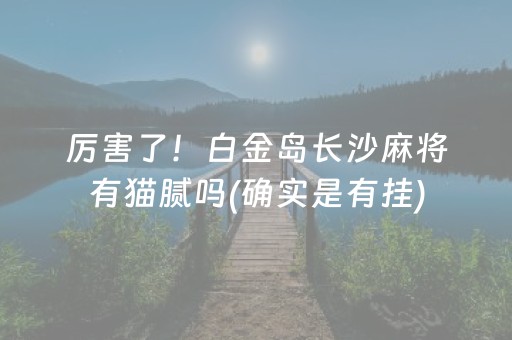 厉害了！白金岛长沙麻将有猫腻吗(确实是有挂)