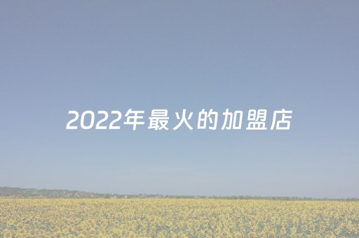 2022年最火的加盟店（2022年最火的加盟店有哪些）