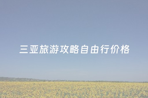 三亚旅游攻略自由行价格（三亚旅游住宿攻略自由行）