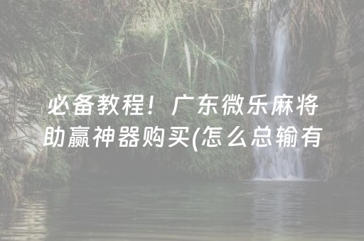 必备教程！广东微乐麻将助赢神器购买(怎么总输有什么猫腻)