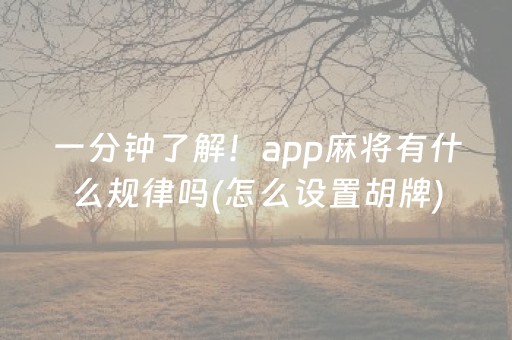 一分钟了解！app麻将有什么规律吗(怎么设置胡牌)