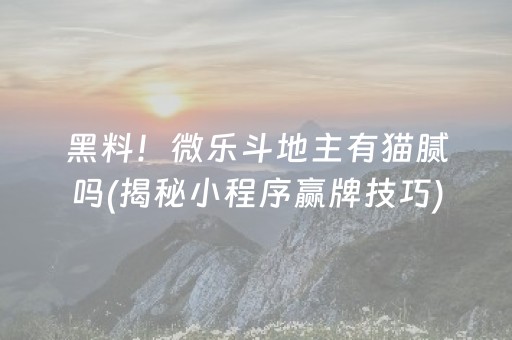 终于懂了“微信小程序财神十三张辅助器工具”（小程序控牌器)