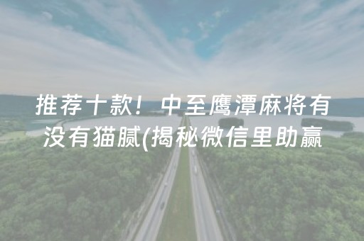 推荐十款！中至鹰潭麻将有没有猫腻(揭秘微信里助赢神器购买)