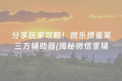 分享玩家攻略！微乐掼蛋第三方辅助器(揭秘微信里辅牌器)