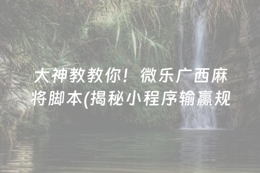 大神教教你！微乐广西麻将脚本(揭秘小程序输赢规律)