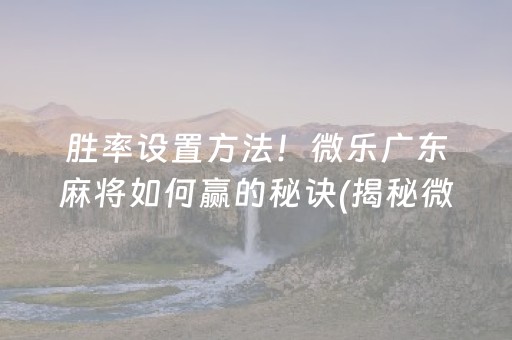 胜率设置方法！微乐广东麻将如何赢的秘诀(揭秘微信里专用神器下载)