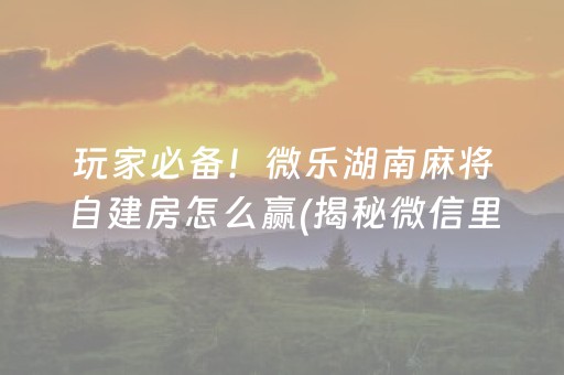 玩家必备！微乐湖南麻将自建房怎么赢(揭秘微信里插件下载)