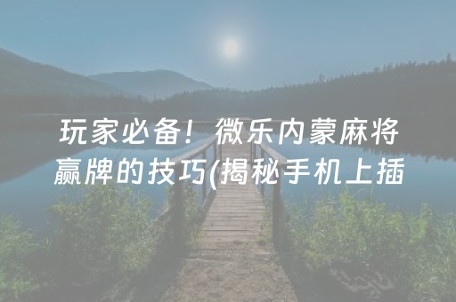 玩家必备！微乐内蒙麻将赢牌的技巧(揭秘手机上插件购买)