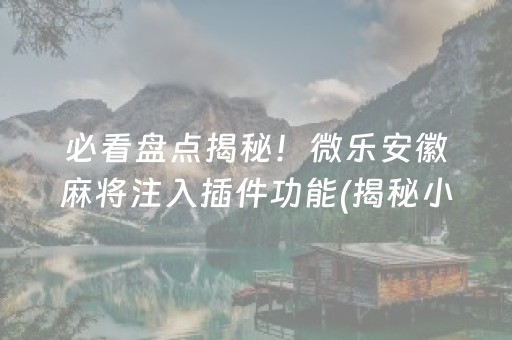 必看盘点揭秘！微乐安徽麻将注入插件功能(揭秘小程序确实有猫腻)