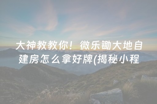 大神教教你！微乐锄大地自建房怎么拿好牌(揭秘小程序专用神器下载)