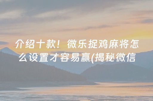 介绍十款！微乐捉鸡麻将怎么设置才容易赢(揭秘微信里辅牌器)