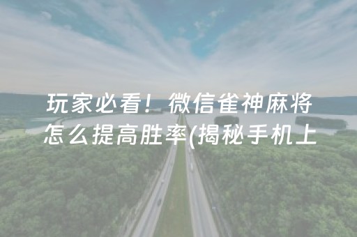 玩家必看！微信雀神麻将怎么提高胜率(揭秘手机上助攻神器)