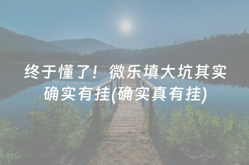 终于懂了！微乐填大坑其实确实有挂(确实真有挂)