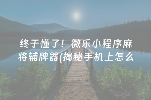 终于懂了！微乐小程序麻将辅牌器(揭秘手机上怎么容易赢)