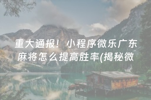 重大通报！小程序微乐广东麻将怎么提高胜率(揭秘微信里最新神器下载)