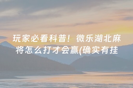 玩家必看科普！微乐湖北麻将怎么打才会赢(确实有挂)