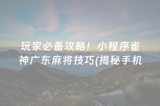 玩家必备攻略！小程序雀神广东麻将技巧(揭秘手机上助攻神器)