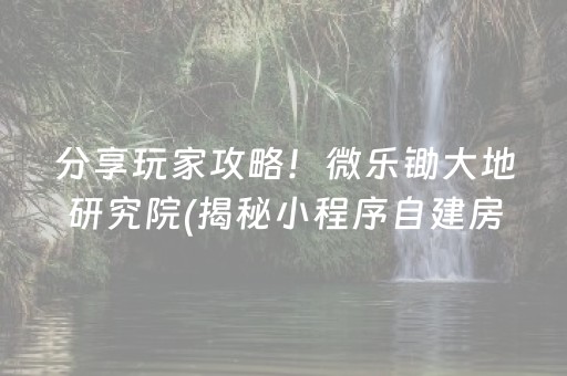 分享玩家攻略！微乐锄大地研究院(揭秘小程序自建房怎么赢)