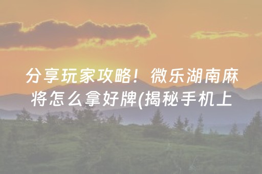 分享玩家攻略！微乐湖南麻将怎么拿好牌(揭秘手机上插件购买)