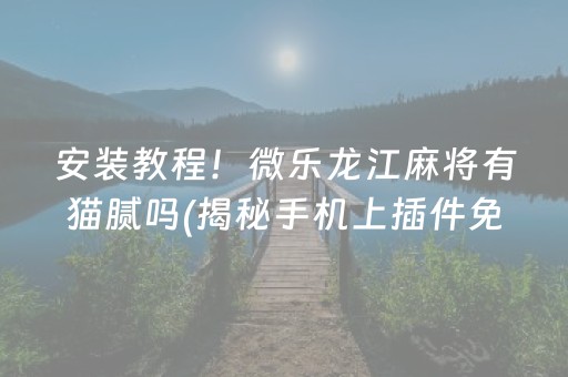 安装教程！微乐龙江麻将有猫腻吗(揭秘手机上插件免费)