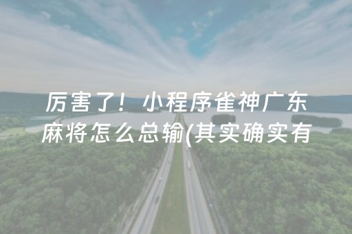 厉害了！小程序雀神广东麻将怎么总输(其实确实有挂)