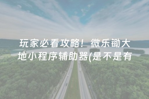 玩家必看攻略！微乐锄大地小程序辅助器(是不是有挂)