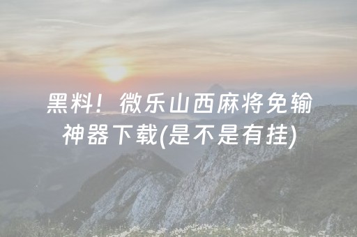 黑料！微乐山西麻将免输神器下载(是不是有挂)