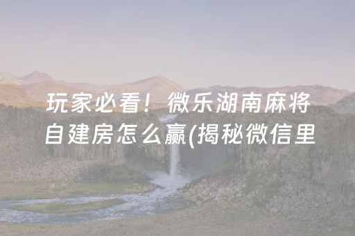 玩家必看！微乐湖南麻将自建房怎么赢(揭秘微信里辅牌器)