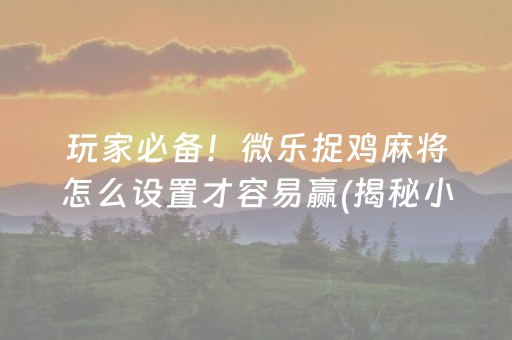 玩家必备！微乐捉鸡麻将怎么设置才容易赢(揭秘小程序提高胜率)