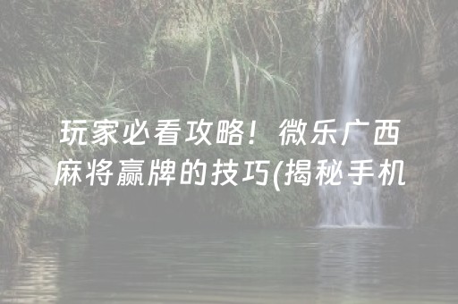 玩家必看攻略！微乐广西麻将赢牌的技巧(揭秘手机上助赢神器购买)