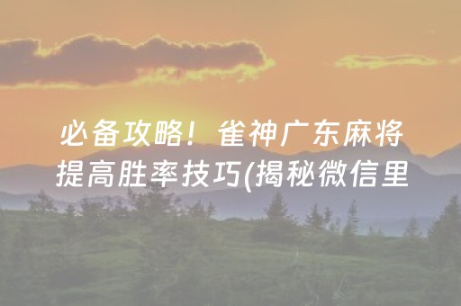 必备攻略！雀神广东麻将提高胜率技巧(揭秘微信里确实有猫腻)