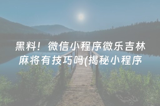 黑料！微信小程序微乐吉林麻将有技巧吗(揭秘小程序提高赢的概率)