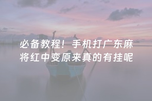 必备教程！手机打广东麻将红中变原来真的有挂呢(确定是有挂)