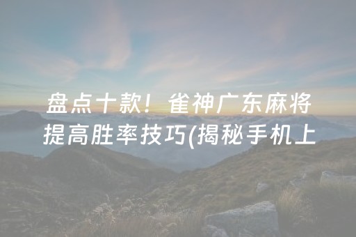 盘点十款！雀神广东麻将提高胜率技巧(揭秘手机上必备神器)