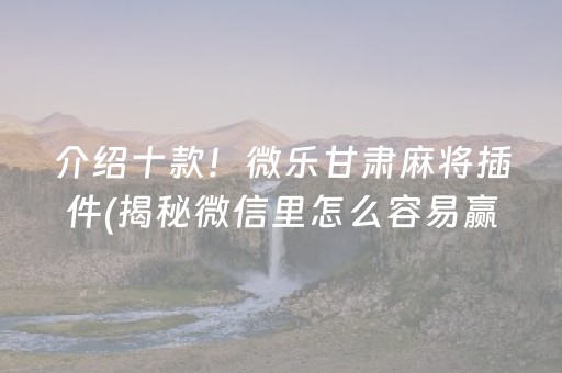 介绍十款！微乐甘肃麻将插件(揭秘微信里怎么容易赢)