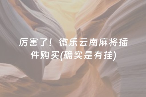 厉害了！微乐云南麻将插件购买(确实是有挂)