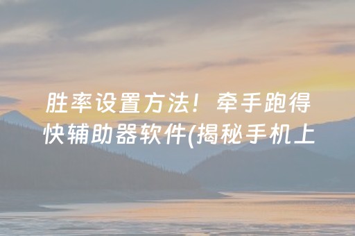 胜率设置方法！牵手跑得快辅助器软件(揭秘手机上插件购买)