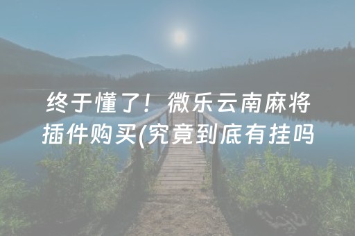 终于懂了！微乐云南麻将插件购买(究竟到底有挂吗)