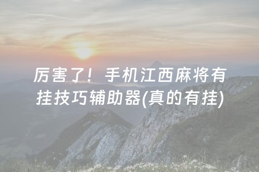 厉害了！手机江西麻将有挂技巧辅助器(真的有挂)