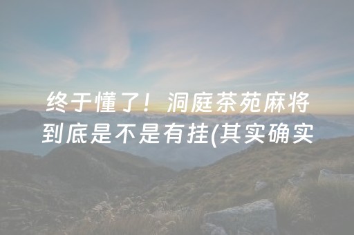 终于懂了！洞庭茶苑麻将到底是不是有挂(其实确实有挂)