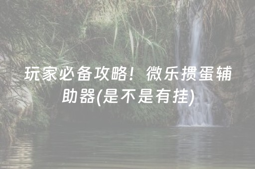 玩家必备攻略！微乐掼蛋辅助器(是不是有挂)