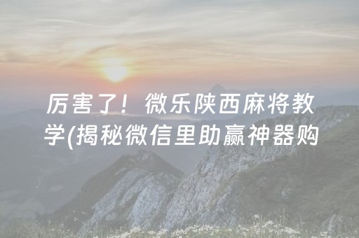 厉害了！微乐陕西麻将教学(揭秘微信里助赢神器购买)