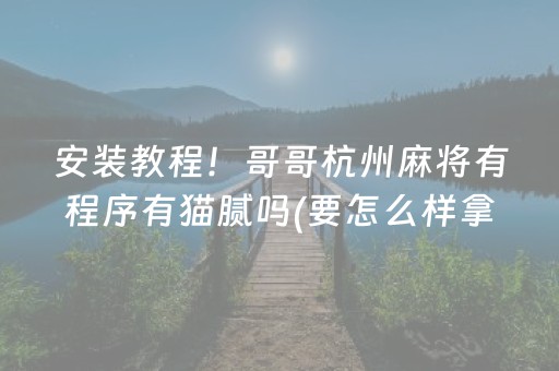 安装教程！哥哥杭州麻将有程序有猫腻吗(要怎么样拿到好牌)