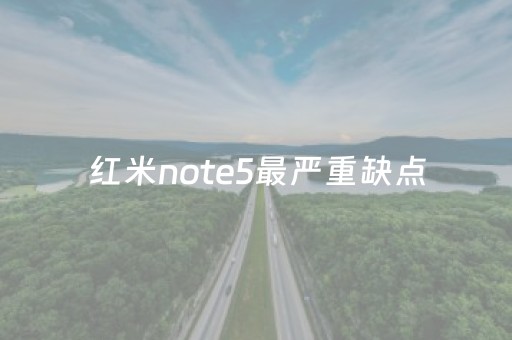 红米note5最严重缺点（红米note 5测评）