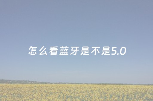 怎么看蓝牙是不是5.0（怎么看蓝牙是不是40）