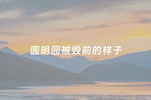 圆明园被毁前的样子（圆明园被毁前的样子文字）