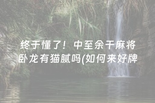 终于懂了！中至余干麻将卧龙有猫腻吗(如何来好牌)