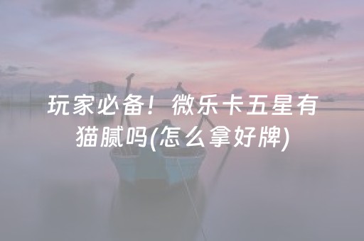 玩家必备！微乐卡五星有猫腻吗(怎么拿好牌)