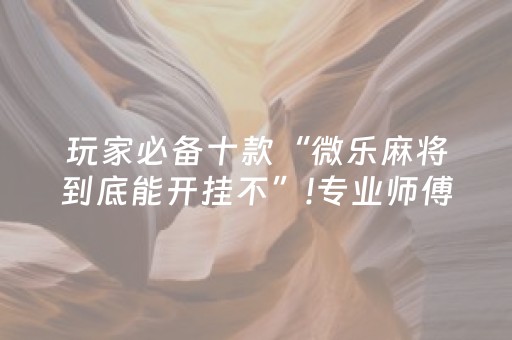 玩家必备十款“微乐麻将到底能开挂不”!专业师傅带你一起了解（详细教程）-抖音