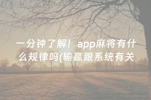 一分钟了解！app麻将有什么规律吗(输赢跟系统有关系吗)